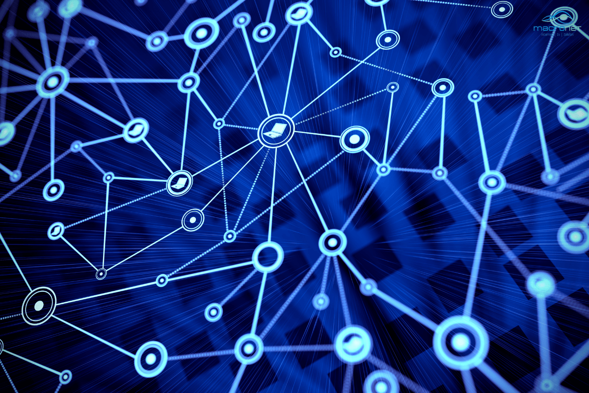 Hálózatépítés a Macronet System-nél.